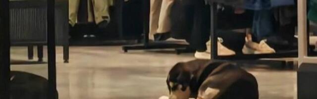 Jedan je ovako našao kuću: Šta to rade šabački trgovci?