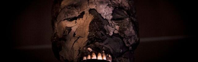 Znatno su viši i imaju veće glave od predaka: Skeniranje i analize otkrile pravi razlog