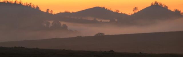 Radijacijska magla "guši" stanovnike Kalifornije: Oblak pokrio 700 km, stanovnici u panici, kašlju, lekovi ne pomažu (FOTO)