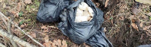 U PANČEVU PRONAĐENA VELIKA KOLIČINA ZAKOPANE DROGE: Policija zaplenila 25 kilograma amfetamina, uhapšena jedna osoba!