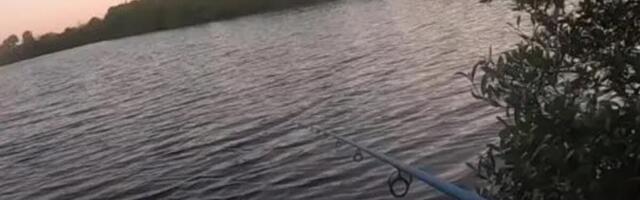 Vladimir iz jezera izvukao OVU grdosiju tešku skoro 30 kilograma: Jedna je od najvećih ikada zabeleženih u Srbiji