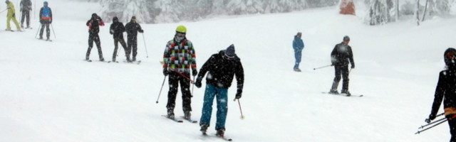 Da nije bilo OVOGA, meda bi ga sažvakao (VIDEO)