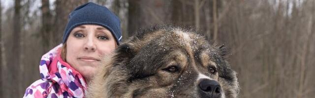 Kavkaski ovčar – pas kojeg se i medved plaši