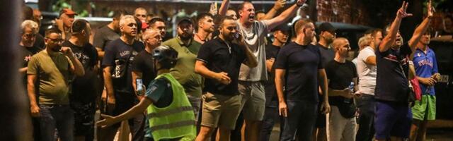 Lica sa kriminalnim dosijeima u odbrani prostorija SNS