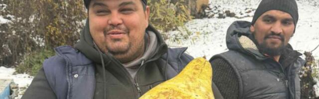 Misterija kod Aleksandrovca! Dušan na putu naišao na džinovski plod, teži 3 kilograma: Otkud OVO čudo kod nas?