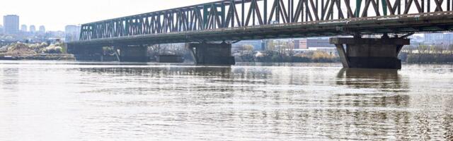 MLADIĆ SKOČIO SA PANČEVAČKOG MOSTA Prolaznici pokušali da ga zadrže, ali bezuspešno, očevici o dramatičnim scenama: "Rekli su DRŽE ga svi, ali se on OPIRE!"