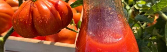 Hitno se povlači proizvod od paradajza! Nađeni komadići stakla - odmah preduzmite ove mere