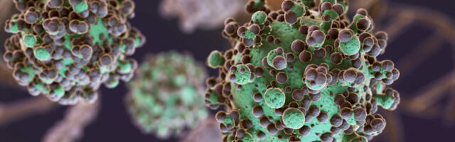 Veliki medicinski napredak: Zamrzavanje tumora, bez klasične operacije (VIDEO)