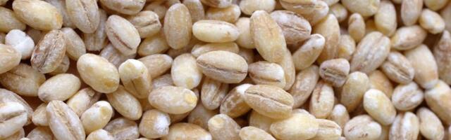 OVE 3 ŽITARICE SU NAJBOLJE ZA OPORAVAK CREVA! Pokrenuće ih kao motor, stručnjaci se kunu u njih