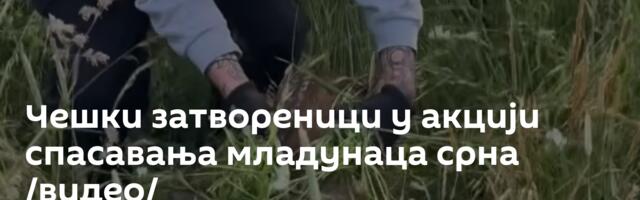 Чешки затвореници у акцији спасавања младунаца срна /видео/