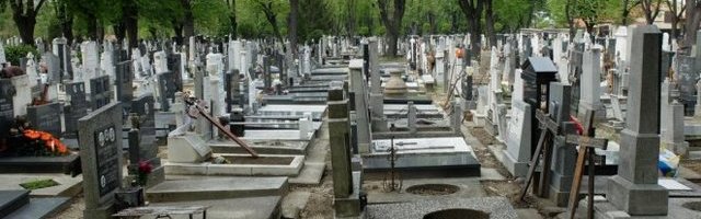 ŽENA PRONAĐENA MRTVA NA GROBU SVOG SINA! Jeziva tragedija u Beogradu!