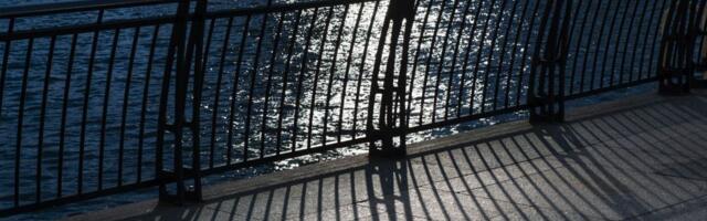 Jednostavnost i elegancija – inox ograde