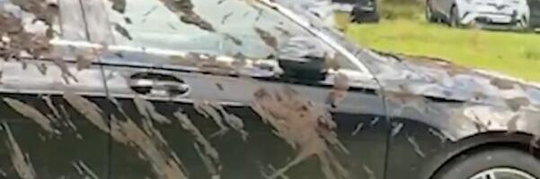 GORE DRUŠTVENE MREŽE ZBOG OVOG LUDILA! Besni PAOR isprskao životinjskim fekalijama LIMUZINE parkirane na njegovom imanju - Ovo je razlog (foto)