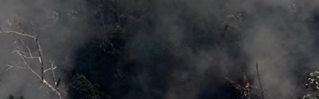 Ko uništava amazonsku prašumu?