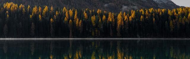 Mišljenje i pevanje u „Zaratustri”