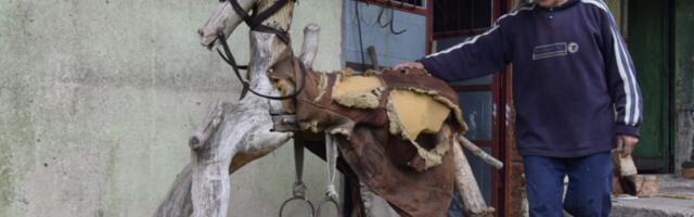 Koban lov: Delovi metka mu završili u glavi, 16 dana bio je u komi, a evo šta danas radi