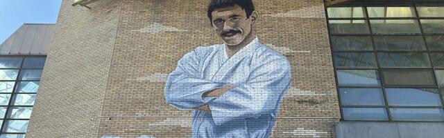 FOTO, VIDEO: Oslikava se veliki mural posvećen Slavku Obadovu na Spensu