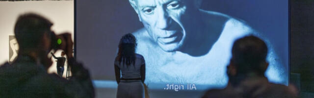 Један Пикасо за 100 евра