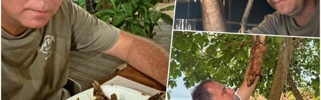 "PACOVINA"! Saradnik Kurira u Gvineji Bisao jeo pečenog pacova: "Miris se proširio po selu, oseća se nadaleko! Sprečavam nagon za povraćanjem, ali..."