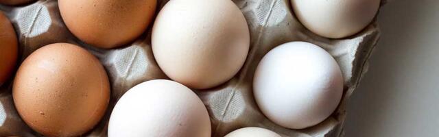 Proveravali smo: Koliko su jaja plaćali Zrenjaninci, a koliko stanovnici drugih gradova