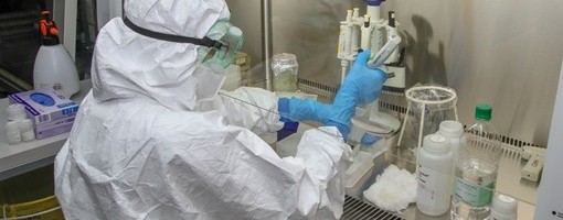 U poslednja 24 časa 20 osoba umrlo od posledica zaraze virusom korona