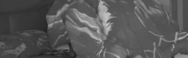 KAKO JE UOPŠTE KREVET OSTAO ČITAV? Najžešći se*sualni odnos do sada, JORGAN NIJE IZDRŽAO PA SVE SEVNULO