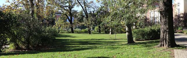 Pred Novosađanima nekoliko lepših i toplijih dana