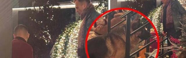 SKANDAL U ZIMSKOJ BAJCI! Sergej Trifunović šeta nemačkog ovčara bez korpe među decom (FOTO)