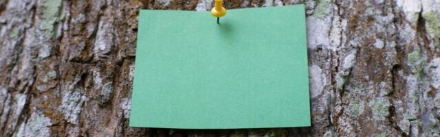 Dorćolce iznenadila tajanstvena poruka na drvetu: "Pre više od godinu dana, nedaleko odavde su nam se..."