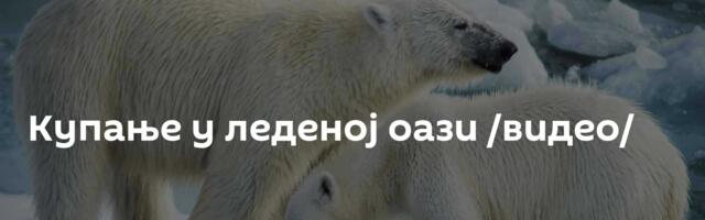 Купање у леденој оази /видео/