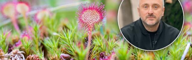 Travar modernog doba: Kako Momčilo Antonijević čovek koji poznaje prirodu