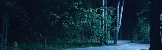 ZVER ŠETA ULICAMA Meštani u šoku: Ide lokalnim putem, između kuća, kao da je prvi komšija (SNIMAK)