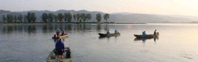 PECAROŠI IZVUKLI UTOPLJENIKA IZ SAVE! Leš plutao rekom u Sremskoj Mitrovici!