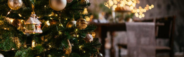 ZNATE LI KADA TREBA DA RASKITITE JELKU? Postoji narodno verovanje koje otkriva precizan datum!