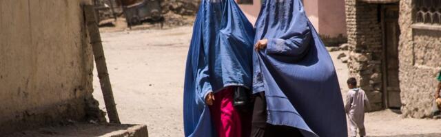 U ovoj zemlji život petla vredi više od života žene! Upravo izdat novi zakon koji je zapanjio svet