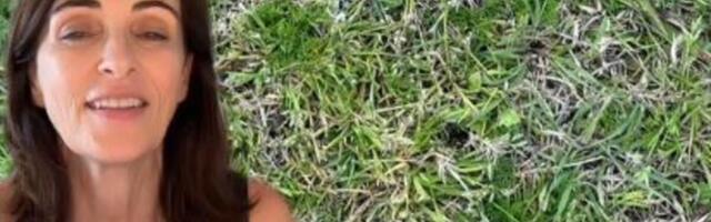 ŠTA SE DESILO SA BELIM PSEĆIM IZMETOM? Veterinarka razbija misteriju, evo zbog čega ga više ne viđamo