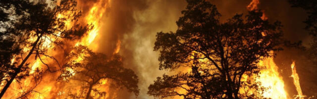 Пожар прогутао 5.000 хектара шуме, изгорело 50 кућа