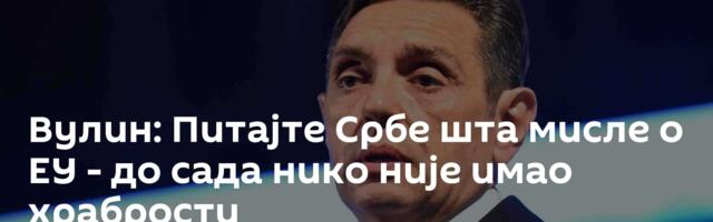 Вулин: Питајте Србе шта мисле о ЕУ - до сада нико није имао храбрости