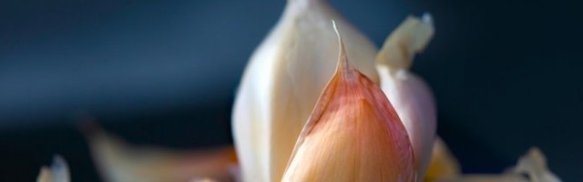 OVO JE NAJBOLJI NAČIN ZA ČIŠĆENJE BELOG LUKA! Oljuštićete ga za 5 sekundi, a ruke će vam MIRISATI!