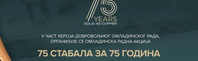 Radna akcija u Valjaonici bakra