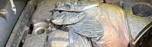 Na prijelazu Špiljani zaplijenjeno 560 grama kokaina: Dvoje uhapšeno u “Pasatu” iz Novog Sada