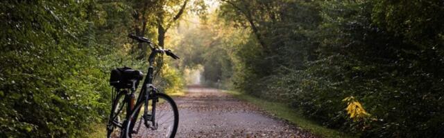 Vozio bicikl u Staroj Pazovi sa skoro tri promila alkohola u krvi