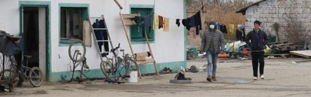 Kineski Goli otok u Srbiji