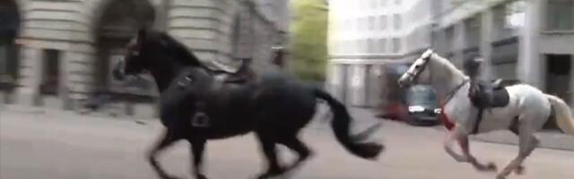 Vojni konji jurili centrom Londona i povredili ljude (VIDEO)