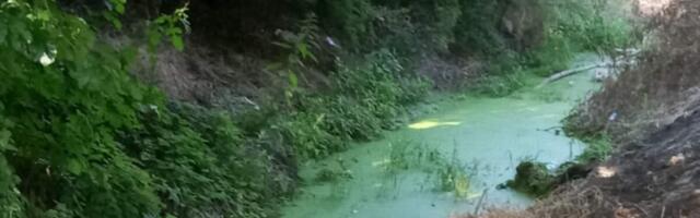 Stanari niškog naselja Ratko Jović žale se na neprijatan miris iz Humskog potoka, strahuju od zaraza