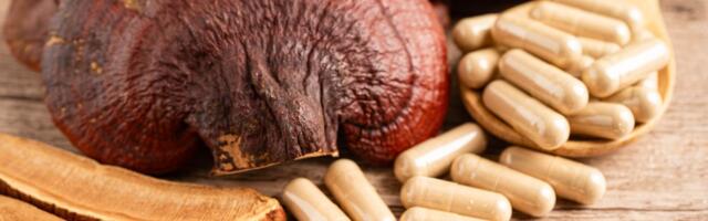 Adaptogeni i nootropici osvajaju tržište: Zašto su proizvodi sa ašvagandom i reiši sve popularniji