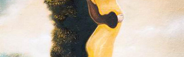 Svi vide damu sa šeširom, ali samo 1% ljudi vidi skriveno lice: Test koji je namučio i najinteligentnije