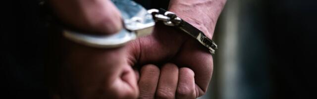 Uhapšen bivši direktor u Srbijašumama, šteta za preduzeće tri miliona dinara