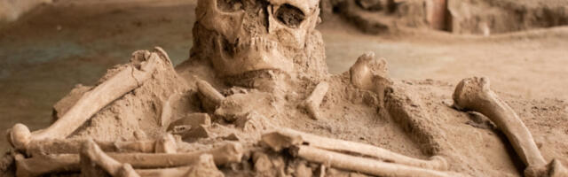 BAGERISTA NA GRADILIŠTU ISKOPAO LJUDSKU LOBANJU I SKELET! Horor u Dobanovcima