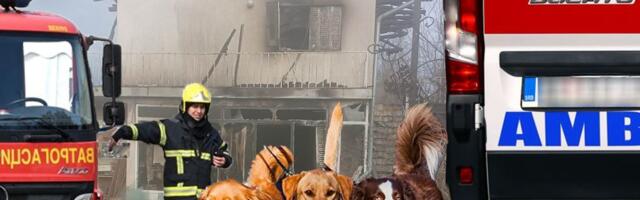 Tuga kod Zaklopače! Buknuo požar u kući, žena uletela u vatru da spasi svoje pse: Epilog je strašan